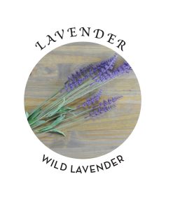 RELAXING MASSAGE & BODY OIL LAVENDER 2 OZ