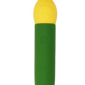 PINA SILICONE MINI VIBE
